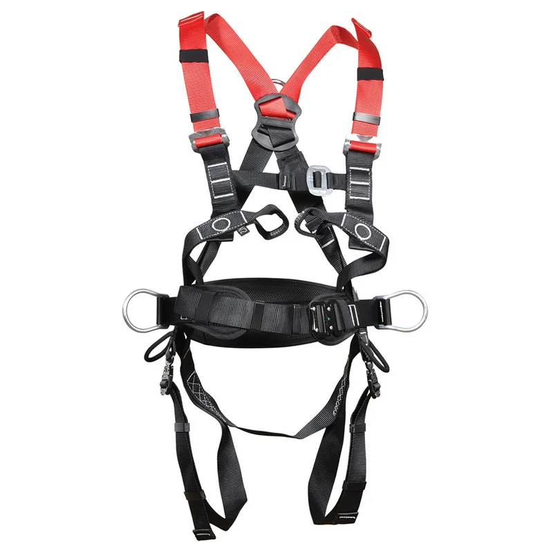 BLITAR FAST.jpeg COFRA BLITAR FAST